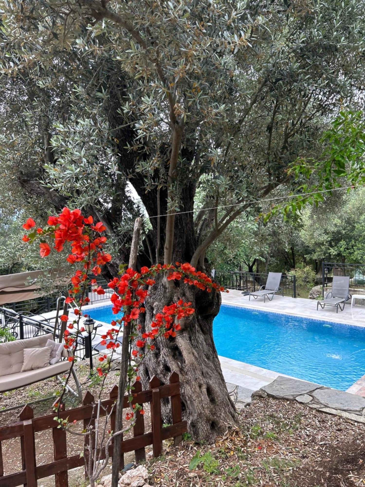 Antalya Bodrum Kayasi Dag Oteli Hasdumen Экстерьер фото